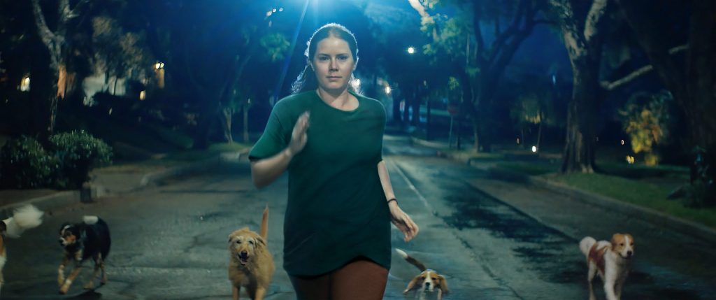 ‘Canina’ transforma Amy Adams em cachorra para explorar maternidade e fúria feminina, diz diretora