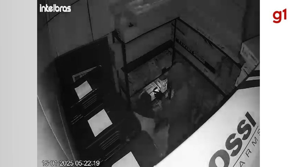 VÍDEO: Criminosos furtam loja de artigos de caça e pesca e levam mais de 30 armas de fogo e munições