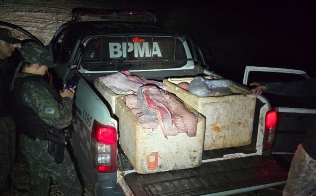 Quase 350 kg de pirarucu são flagrados com homens perto de reserva indígena no Tocantins