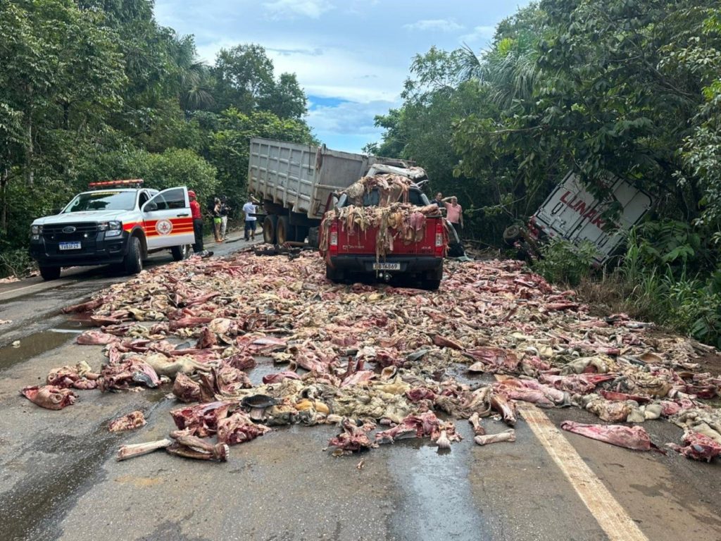 Acidente entre caminhões e carros deixa vários feridos e espalha carregamento de carne na BR-010 no Tocantins