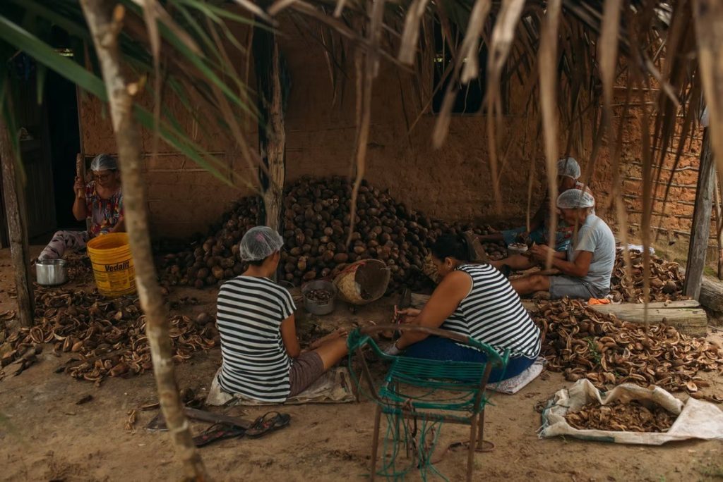 Quebradeiras de coco babaçu do TO comemoram reconhecimento da atividade como manifestação cultural